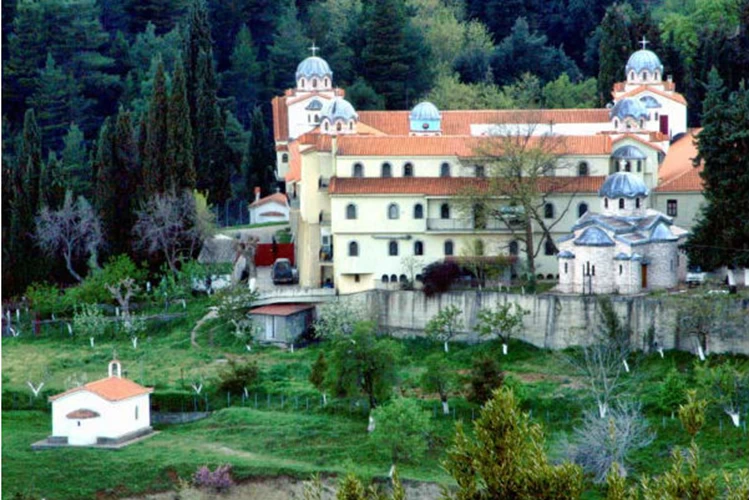 Η μονή του Οσίου Δαυίδ του Γέροντος κοντά στο χωριό Δρυμώνας.